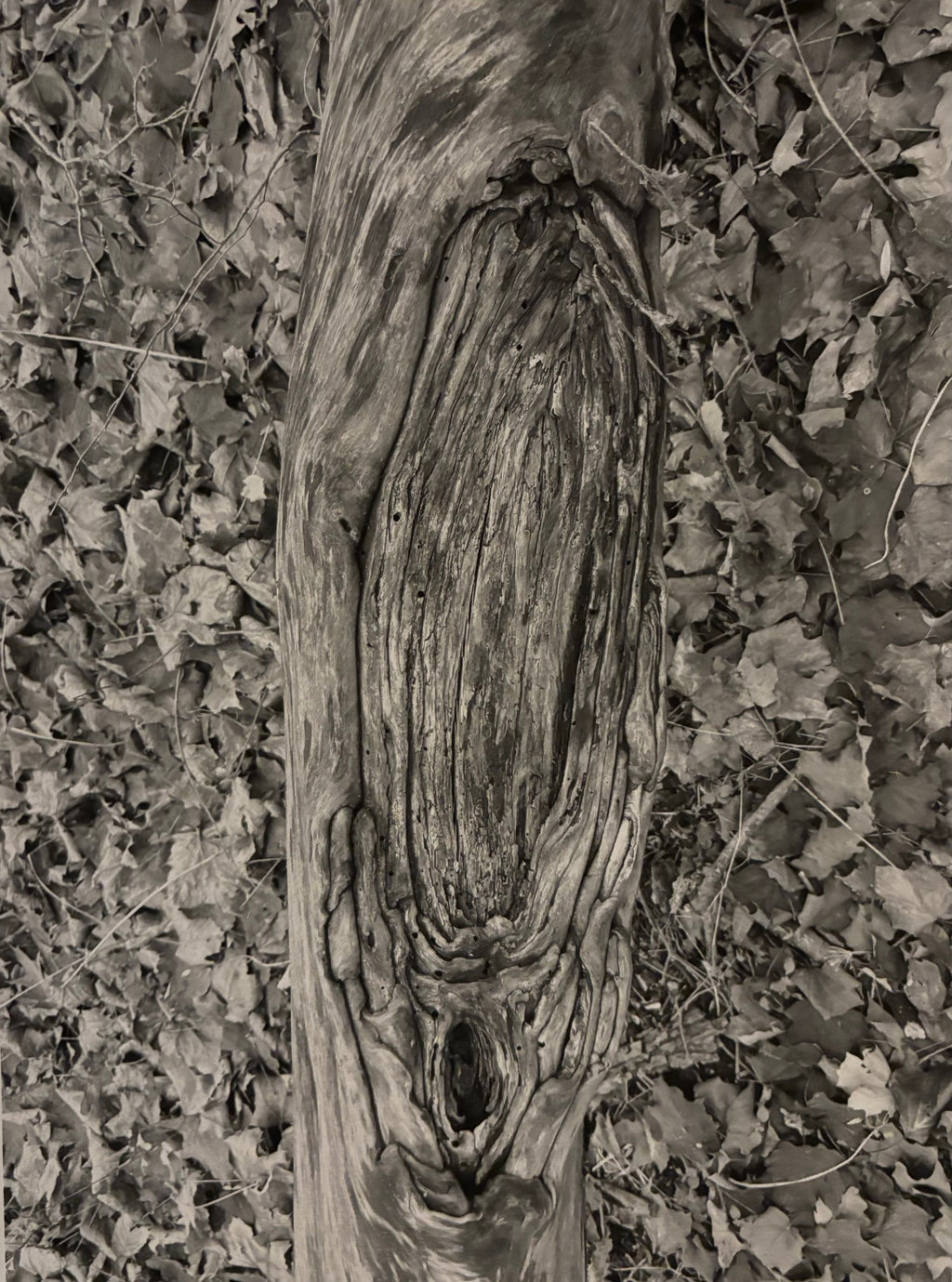 When Edvard Munch Broke It Off with Tulla Larson