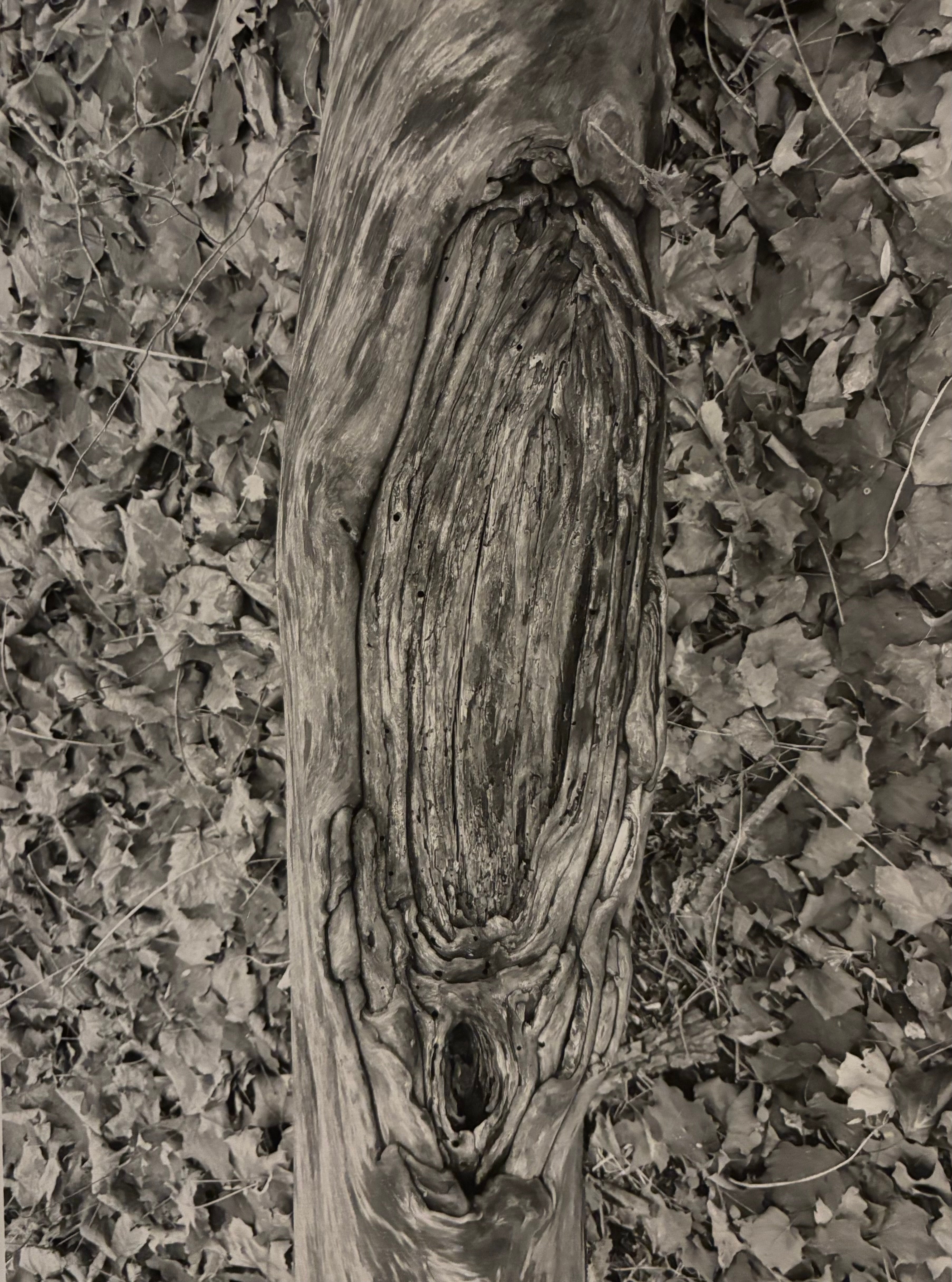 When Edvard Munch Broke It Off with Tulla Larson